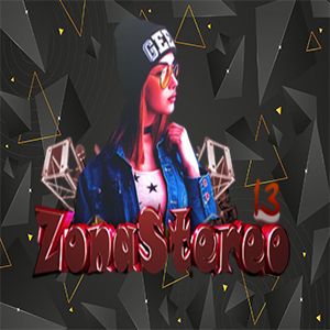 Zona Stereo 13